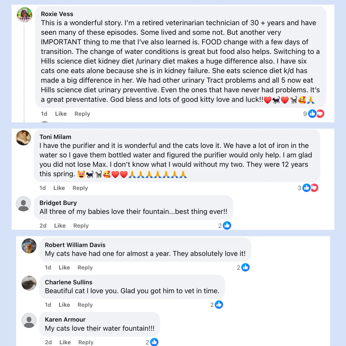 Purryfier Stainless Steel Water Fountain